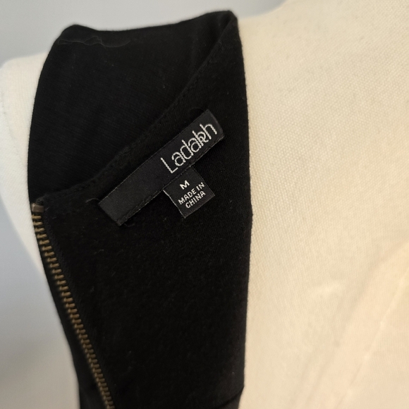 Ladakh | Medium | Black Keyhole Bodycon Sleeveless Dress - Picture 7 of 10